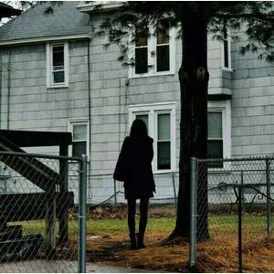 The Tallest Man On Earth - Dark Bird Is Home (LP) vyobraziť