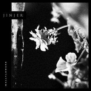 Jinjer - Wallflowers (Limited Edition) (LP) vyobraziť