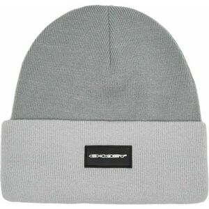 Oakley Tc Stretch Logo Beanie Stone Gray/Lunar Rock UNI Čiapka vyobraziť