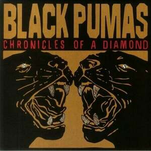 Black Pumas - Chronicles Of A Diamond (US Version) (Clear Coloured) (LP) vyobraziť