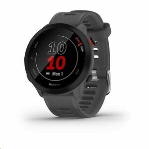 Garmin GPS športové hodinky Forerunner 55 Grey vyobraziť