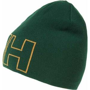 Helly Hansen Outline Beanie Darkest Spruce UNI Lyžiarska čiapka vyobraziť