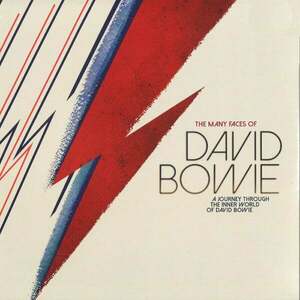 Various Artists - Many Faces Of David Bowie (Red & Blue Coloured) (2 LP) vyobraziť