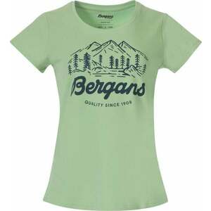 Bergans Classic V2 Tee Women Light Jade Green XL Tričko vyobraziť