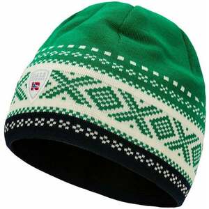 Dale of Norway Dystingen Hat Bright Green/Off White/Navy UNI Lyžiarska čiapka vyobraziť