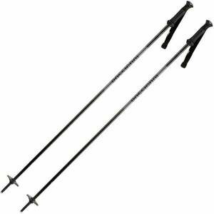 Rossignol Tactic Jr Ski Poles Grey 80 cm Lyžiarske palice vyobraziť