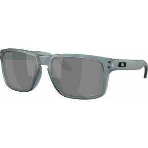 Oakley Holbrook 9102Z455 Matte Crystal Black/Prizm Black Polar Lifestyle okuliare vyobraziť