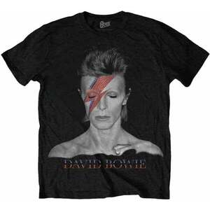 David Bowie Tričko Aladdin Sane Unisex Black XL vyobraziť