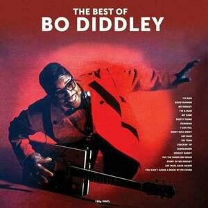 Bo Diddley - The Best Of (LP) vyobraziť