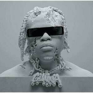 Gunna - Ds4Ever (Silver Coloured) (2 LP) vyobraziť