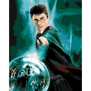 Zuty Maľovanie podľa čísel Plagát Harry Potter a Fénixov rád – Harry vyobraziť