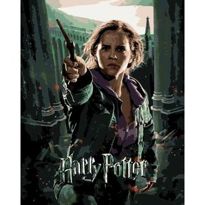 Zuty Maľovanie podľa čísel Plagát Harry Potter a Dary smrti – Hermiona vyobraziť