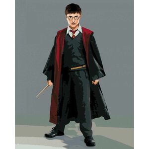 Zuty Maľovanie podľa čísel Harry Potter v habite s prútikom vyobraziť