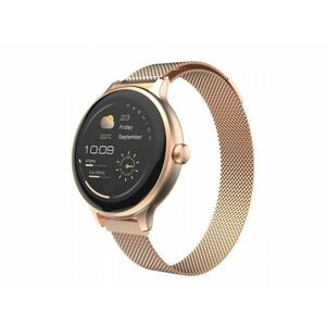 CARNEO Hero mini HR+/Rose Gold/Elegant Band/Rose Gold vyobraziť