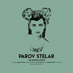 Parov Stelar - The Burning Spider (2 LP) vyobraziť