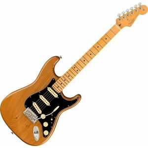 Fender American Professional II Stratocaster MN Roasted Pine Elektrická gitara vyobraziť