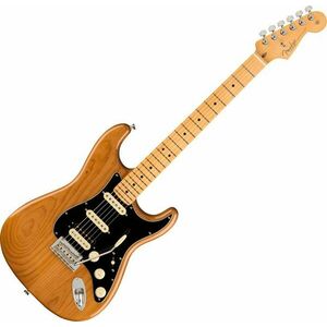 Fender American Professional II Stratocaster MN HSS Roasted Pine Elektrická gitara vyobraziť