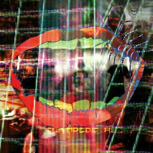 Animal Collective - Centipede HZ (2 LP) vyobraziť