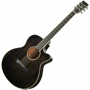 Tanglewood TW4 E BS Black Shadow Gloss Elektroakustická gitara vyobraziť