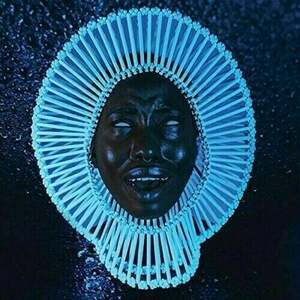 Childish Gambino - Awaken, My Love! (LP) vyobraziť