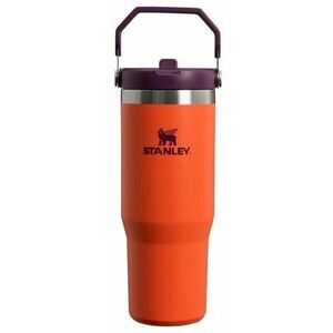 Stanley IceFlow Flip Straw Tumbler Tigerlily Plum 890 ml Termoska vyobraziť