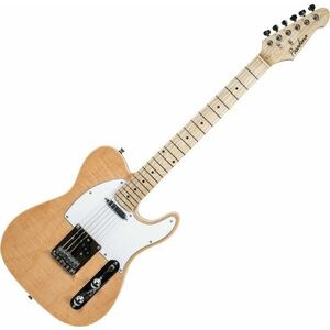 Pasadena TL10 Blonde Elektrická gitara vyobraziť