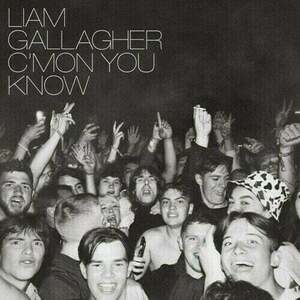 Liam Gallagher - C'mon You Know (LP) vyobraziť