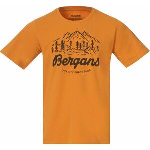 Bergans Classic V2 Tee Men Golden Field S Tričko vyobraziť