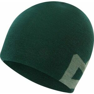 Mountain Equipment Branded Knitted Beanie Pine/Sage UNI Lyžiarska čiapka vyobraziť