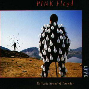 Pink Floyd - Delicate Sound Of Thunder (2 CD) vyobraziť