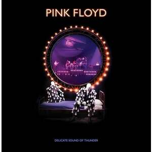 Pink Floyd - Delicate Sound Of Thunder (Remixed) (2 CD) vyobraziť