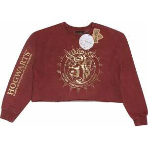 Harry Potter Mikina Gryffindor Constellation Ladies Maroon 2XL vyobraziť