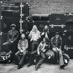 The Allman Brothers Band - At Fillmore East (2 LP) vyobraziť