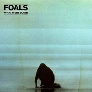 Foals - What Went Down (LP) vyobraziť