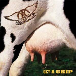 Aerosmith - Get A Grip (2 LP) vyobraziť