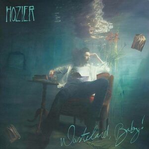 Hozier Hozier (2 LP) vyobraziť