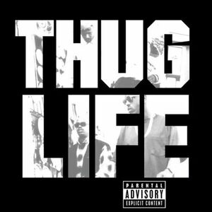 2Pac - Thug Life: Volume 1 (Anniversary Edition) (Reissue) (LP) vyobraziť