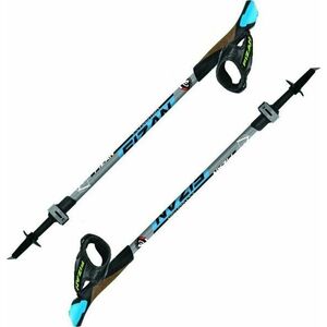 Fizan R-Evolution Blue 58 - 130 cm Palice na Nordic Walking vyobraziť