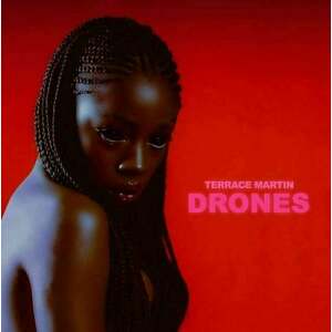 Terrace Martin - Drones (LP) vyobraziť