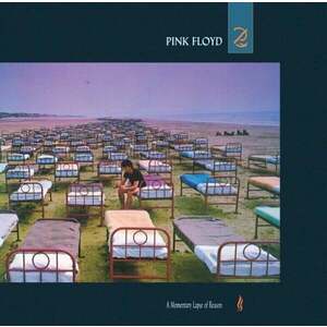 Pink Floyd - A Momentary Lapse Of Reason (2011 Remastered) (LP) vyobraziť