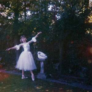 Wolf Alice - Visions Of A Life (2 LP) vyobraziť